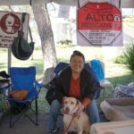 NUEVO LAREDO INVITA A DAR UN HOGAR A UN AMIGO PELUDO EN LA FERIA DE ADOPCIÓN CANINA Y FELINA