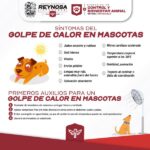 Exhorta Alcalde de Reynosa a cuidar salud de las mascotas