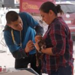 INVITA BIENESTAR ANIMAL A JORNADA GRATUITA DE VACUNACIÓN PARA PERROS Y GATOS