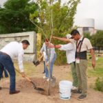 IMPULSA GOBIERNO MUNICIPAL CAMPAÑA DE REFORESTACIÓN EN ESPACIOS PÚBLICOS Y EDUCATIVOS