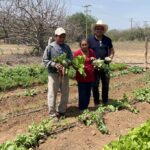 Fomenta Programa de huertos de traspatio alimentación saludable y sostenible en comunidades rurales