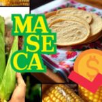 Productores acusan a Sheinbaum de favorecer a grandes empresas y afectar al campo tras el acuerdo Nacional Maíz-Tortilla “las grades corporaciones siguen ganando”