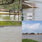 Promueve Pemex la recuperación de espacios naturales