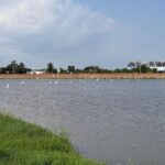 Pemex comprometido con el uso eficiente y responsable del agua en sus actividades