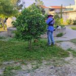 Promueve Gobierno de Reynosa convivencia vecinal con mantenimiento de plazas públicas
