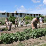 Imparten en CEDES Matamoros cursos de huertos urbanos e inglés