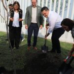 Sera ley proteger a los árboles