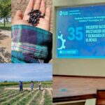 Elabora estudiante de la UAT bioherbicida para cultivos de frijol