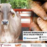 Dará la UAT conferencias sobre gusano barrenador y su impacto en la salud pública