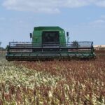 🔴!!!!Últimatum del Campo Tamaulipeco!!!!Agricultores advierten cierre de puentes y carreteras si el Gobierno no responde