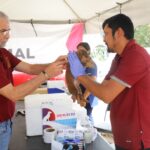CONTINÚA GOBIERNO MUNICIPAL IMPULSANDO EL BIENESTAR ANIMAL CON JORNADAS DE ESTERILIZACIÓN Y MÚLTIPLES SERVICIOS