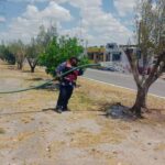 Intensifica Gobierno de Reynosa cuidado de áreas verdes en la ciudad