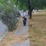Atienden cuadrillas del Gobierno de Reynosa limpieza, bacheo y alumbrado público