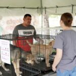 REALIZA DIRECCIÓN DE BIENESTAR ANIMAL FERIA DE ADOPCIONES ESTE FIN DE SEMANA