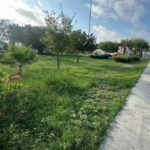 Desarrolla Municipio trabajo de limpieza en Monumento «Hecho en Reynosa»
