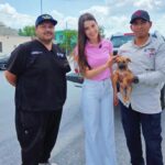 Lo demuestra Reynosa otra vez; dan amor a perrita desvalida