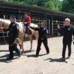 Apoya Agrupamiento Montado de la Guardia Estatal con equinoterapia a personas con discapacidad