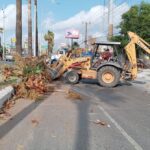 Mejoran cuadrillas municipales aspecto de avenidas en Reynosa