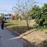 Dedica Gobierno de Reynosa trabajo de saneamiento a colonias
