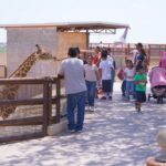 ZOO DE NLD OFRECE DIVERTIDAS INTERACCIONES ANIMALES
