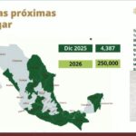 Entregará Infonavit en Tamaulipas a finales del año, mil 117 nuevas casas