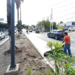 Es imparable mantenimiento de avenidas en Reynosa
