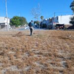 Imparable trabajo de limpieza y embellecimiento del Gobierno de Reynosa
