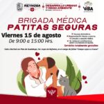 🐾✨ ¡Patitas Seguras llega a tu colonia! ✨🐾