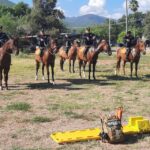 Agrupamiento Montado de la Guardia Estatal se fortalece con gimnasia ecuestre