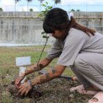 Reforestan CEDES Matamoros con plantación de árboles frutales