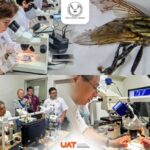 Colabora la UAT en medidas preventivas contra el gusano barrenador