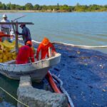 Participan más de 600 elementos en la limpieza y remediación del río Pantepec en Veracruz