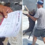 Atendió Hospital Veterinario Municipal de Reynosa a perrito