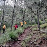Promueve SEDUMA recuperación de ecosistemas forestales en el altiplano