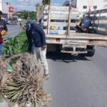 Continúa Gobierno de Reynosa con trabajo de limpieza y mantenimiento