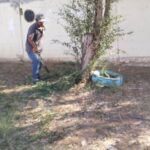 Podan cuadrillas municipales árboles, para seguridad de alumnos de escuela de Reynosa