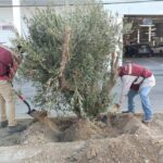 Mejora y embellece Gobierno de Carlos Peña Ortiz las instalaciones urbanas