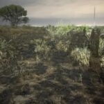 SOFOCAN INCENDIO ENTRE LA CIMA Y VISTA HERMOSA