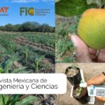 Anuncia la UAT publicación de revista de Ingeniería y Ciencias