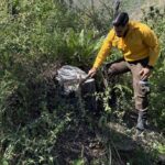 Fortalecen SEDUMA Y CONAFOR estrategia para preservar riqueza ambiental de TAMAULIPAS