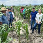 Nuevas estrategias productivas fortalecen la economía rural en Tamaulipas