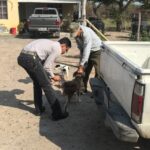 Promueve SST cultura del dueño responsable