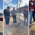 REFORESTAN PLAZA DE LOS OLIVOS 2 COMO PARTE DEL PROGRAMA ARBOLEANDO NLD