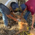 Acción inmediata y coordinación interinstitucional ante caso de GBG en Tamaulipas