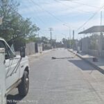 Recupera Gobierno de Reynosa postes del alumbrado público derribados por ventarrón