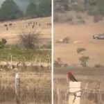 CONFIRMA SEDENA ABATIR A EL MENCHO