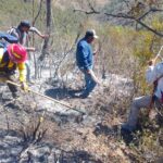 Reporta gobierno de Tamaulipas avance del 90% en control de incendio forestal en Jaumave