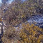 Avanza al 70 % el control del incendio forestal “Puerto del Volcán” en Miquihuana