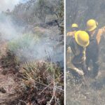Continúan labores para el control y liquidación de incendio forestal en el Cerro El Tepozán