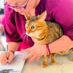 Promueve Gobierno de Reynosa salud animal en coordinación con Asociación Civil